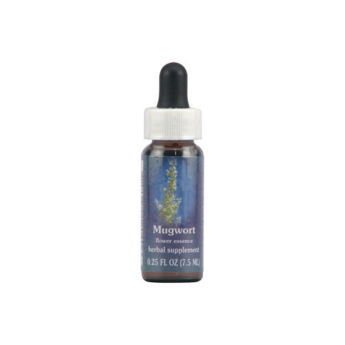 Flower Essence Mugwort Herbal Supplement Dropper - 0.25 Oz